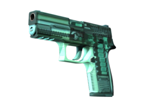 P250 | X-Ray